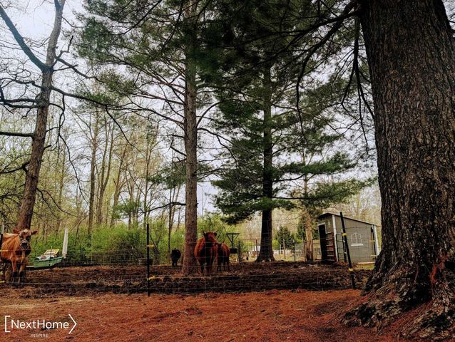 5720 Chambers Road, Mayville, MI 48744