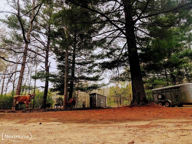 5720 Chambers Road, Mayville, MI 48744