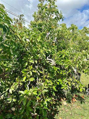496 SW 9th Ave, Florida City, FL 33034