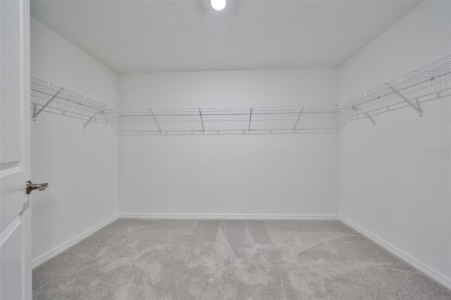 12418 RADIANT CRYSTAL ROSE P, Parrish, FL 34219