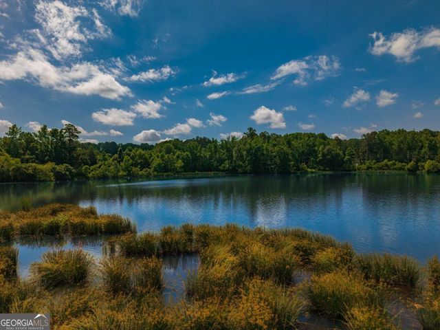 731 Midway Avenue, Canton, GA 30114