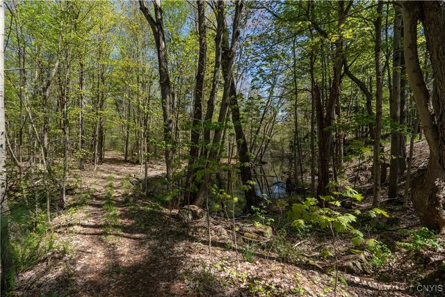 9626 State Route 126, New Bremen, NY 13620