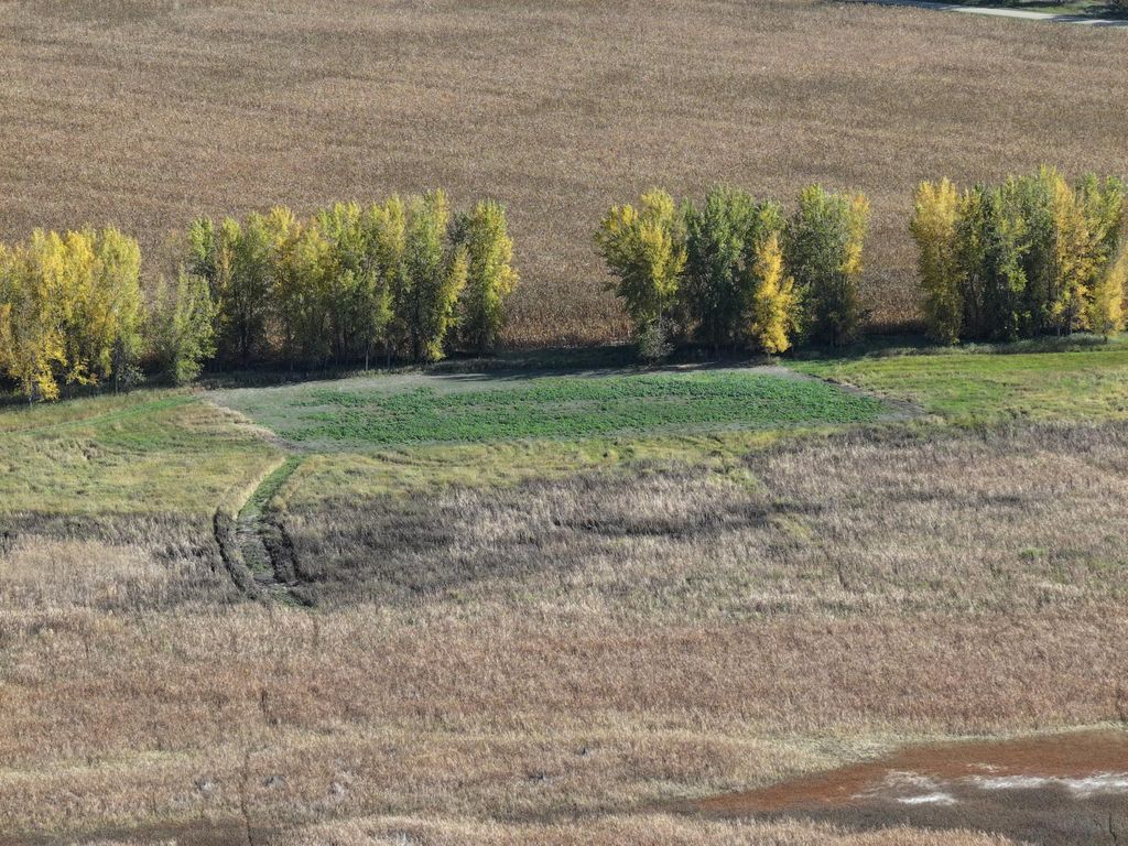 TBD Co Rd 3, Cogswell, ND 58017 — photo 2