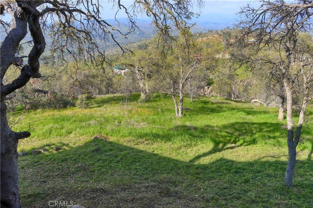 Image 63 of property listing at 41345 Lilley Mountain R, Coarsegold, CA 94614