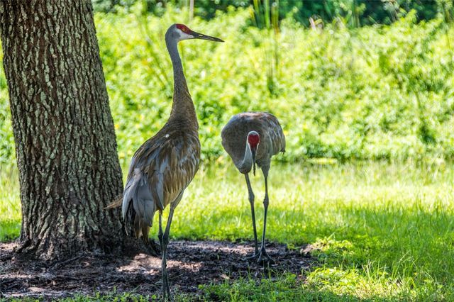 331 BOBBY JONES ROAD 331, Sarasota, FL 34232