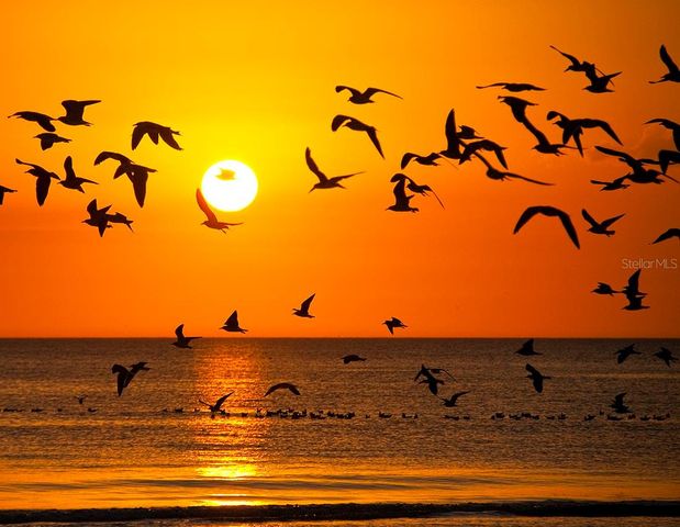 331 BOBBY JONES ROAD 331, Sarasota, FL 34232