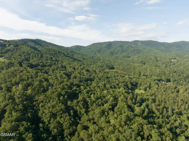 1065 Shell Mountain Road, Sevierville, TN 37876