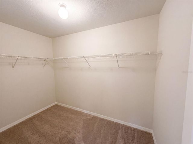 306 GARDEN OAK COURT, Apopka, FL 32703
