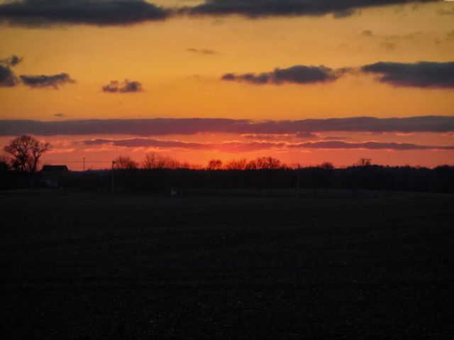 302 Cress Creek Trail, Poplar Grove, IL 61065