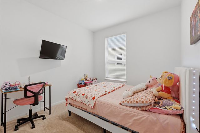 24042 Hay Needle Lane, Hockley, TX 77447