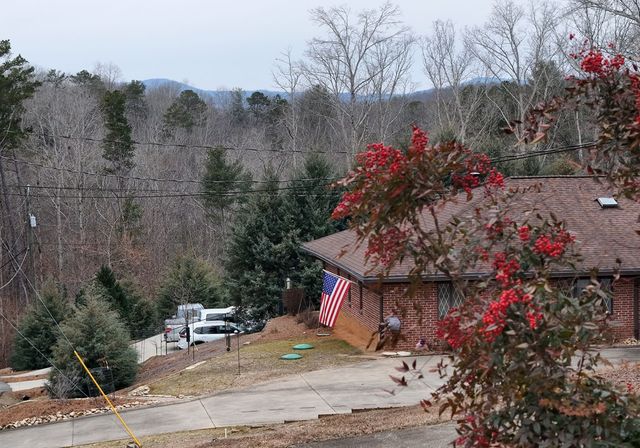 111 Seneca Way, Ellijay, GA 30540