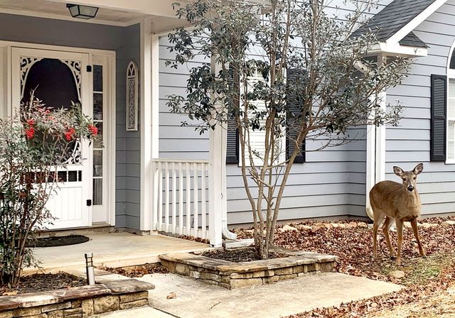 111 Seneca Way, Ellijay, GA 30540