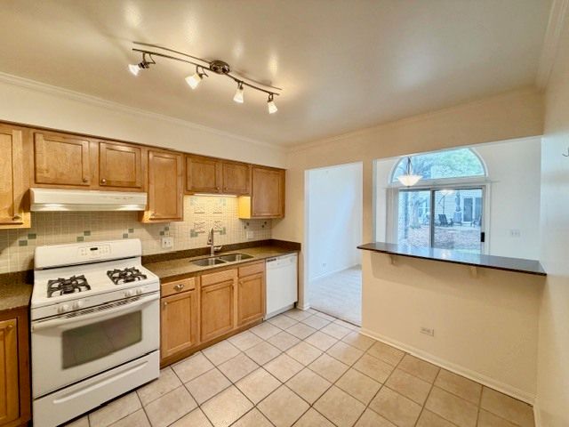 627 Cobblestone Court, Elgin, IL 60120