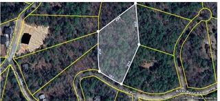 lot58 Doe Run, Ellijay, GA 30540
