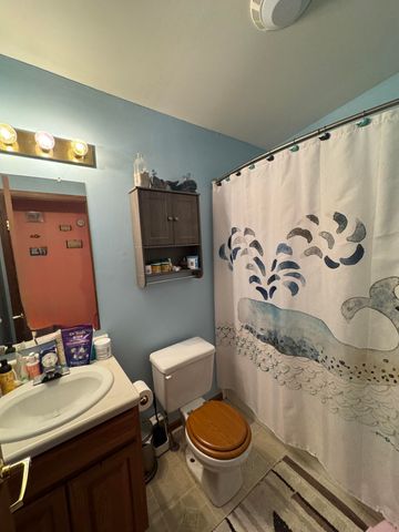 125 Coxon Street, Concord Vllg, MI 49237