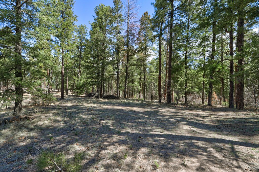 Image 10 of property listing at Lands of Hotchkiss Lot B NF 10, Jemez Springs, NM 87025