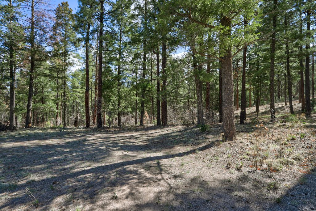 Image 11 of property listing at Lands of Hotchkiss Lot B NF 10, Jemez Springs, NM 87025