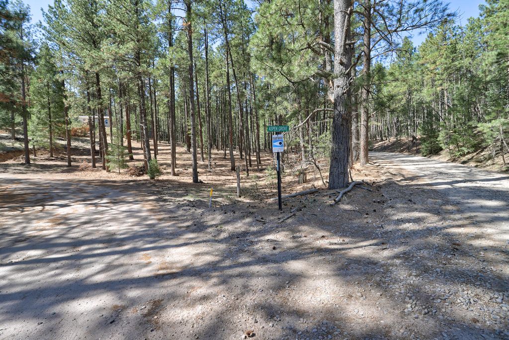 Image 3 of property listing at Lands of Hotchkiss Lot B NF 10, Jemez Springs, NM 87025