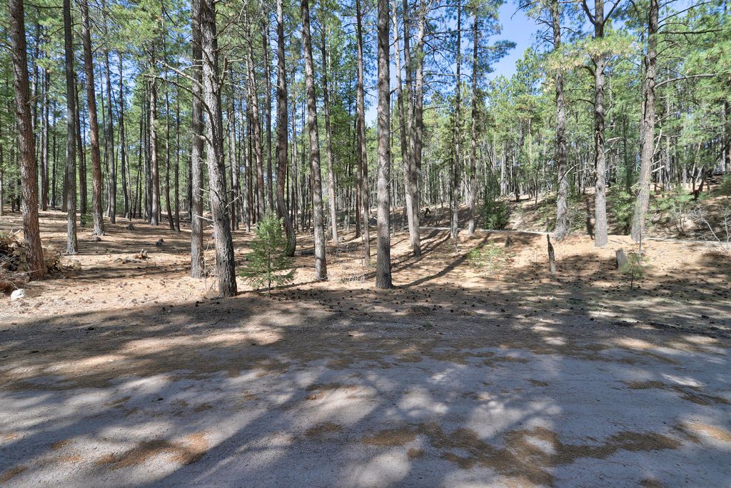 Image 6 of property listing at Lands of Hotchkiss Lot B NF 10, Jemez Springs, NM 87025