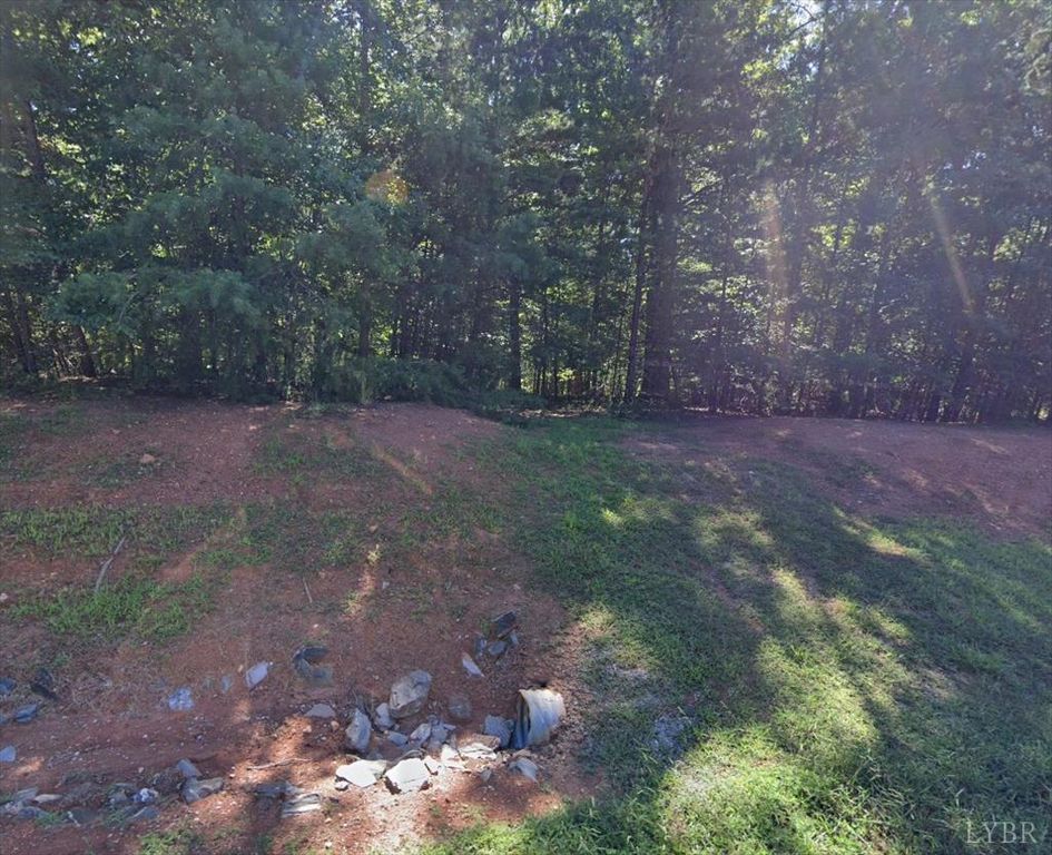 0 Runaway Bay Road, Lynch Station, VA 24571