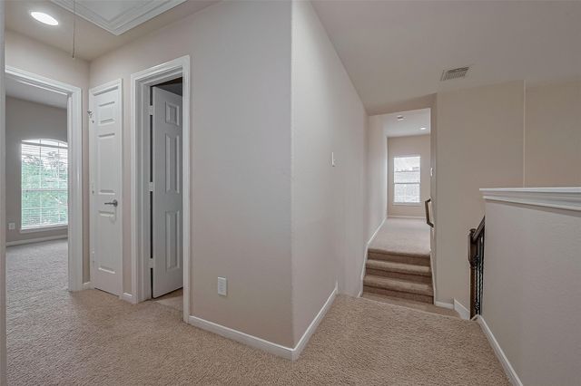 15 Wenoah Place, The Woodlands, TX 77389