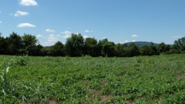 0 Ranchside Court, Rock Island, TN 38581