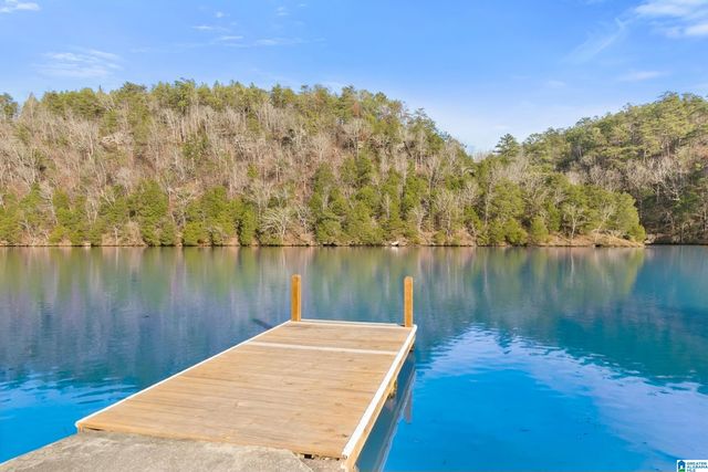 14380 WILLIAMS CAMP ROAD, Northport, AL 35475