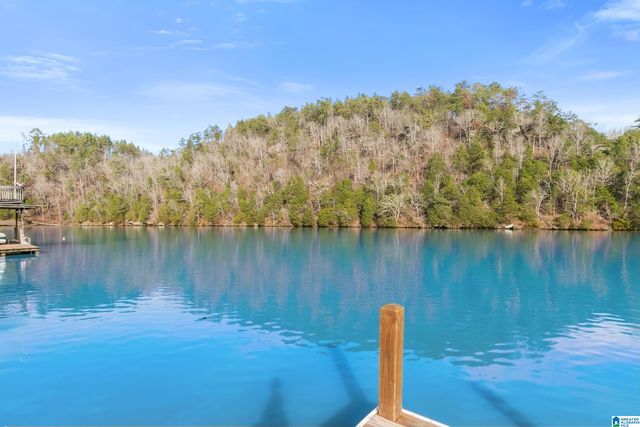 14380 WILLIAMS CAMP ROAD, Northport, AL 35475