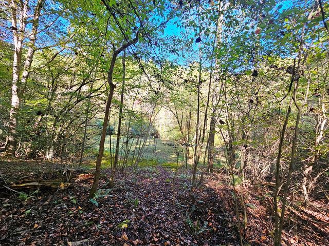 Lot 12 Kaitlan Lane, Murphy, NC 28906