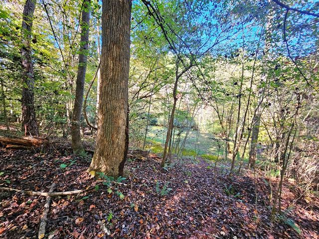 Lot 12 Kaitlan Lane, Murphy, NC 28906