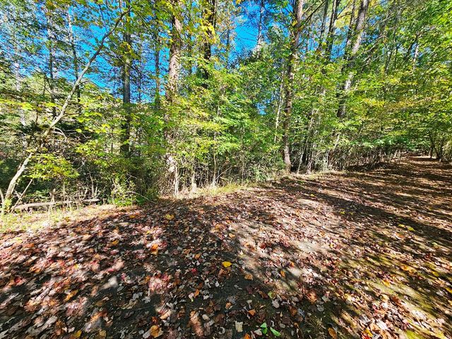 Lot 12 Kaitlan Lane, Murphy, NC 28906