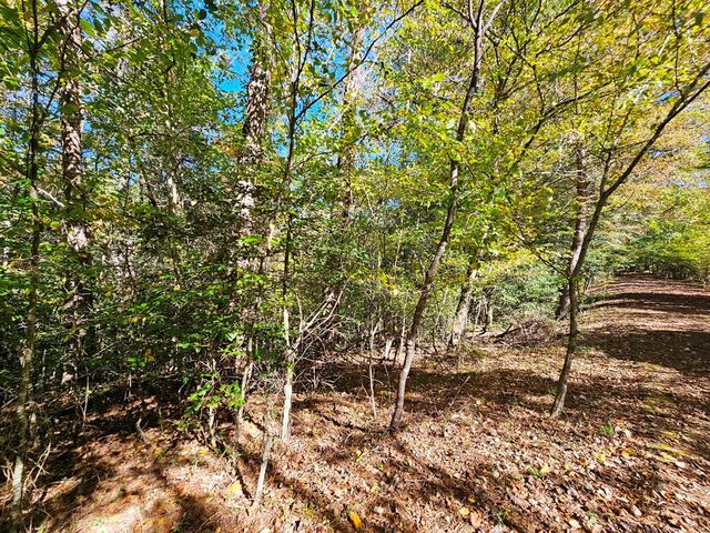 Lot 12 Kaitlan Lane, Murphy, NC 28906