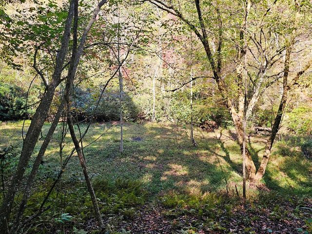 Lot 12 Kaitlan Lane, Murphy, NC 28906