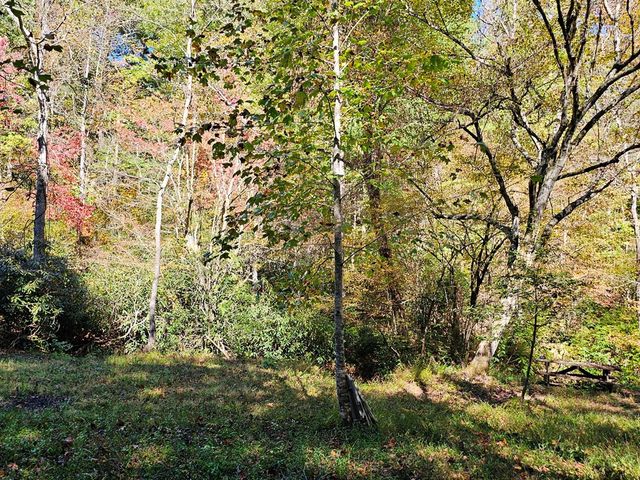 Lot 12 Kaitlan Lane, Murphy, NC 28906