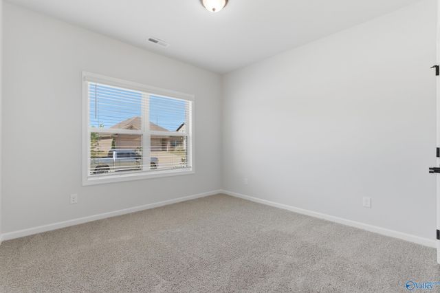 170 Saddle Street, New Market, AL 35761