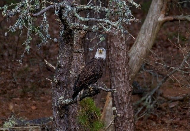 15 Riverview Ave D, Mashpee, MA 02469