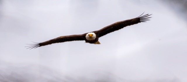 15 Riverview Ave D, Mashpee, MA 02469