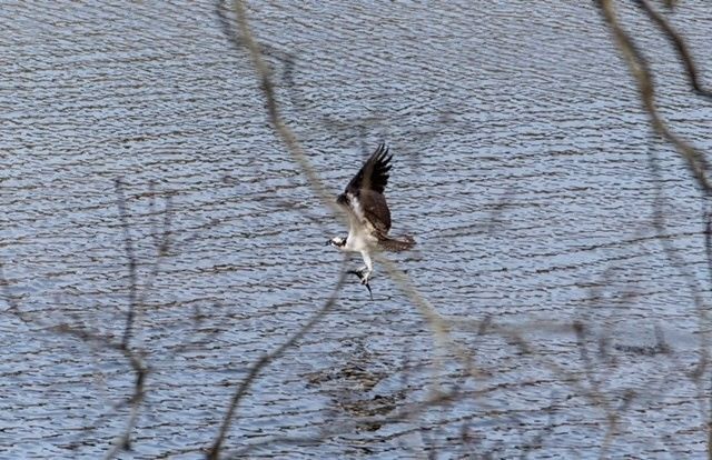 15 Riverview Ave D, Mashpee, MA 02469