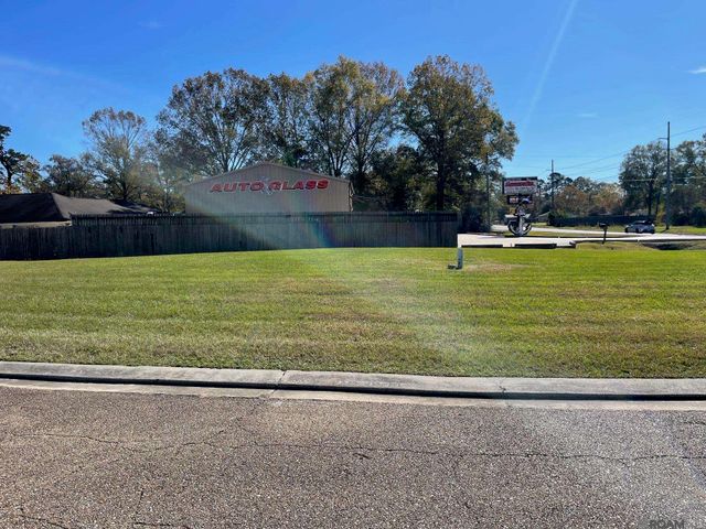 22-A Magnolia Garden Ct, Denham Springs, LA 70726