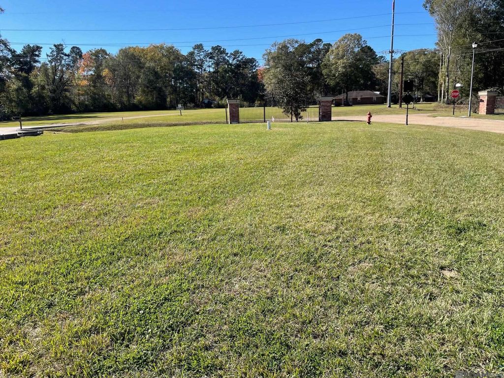 22-A Magnolia Garden Ct, Denham Springs, LA 70726