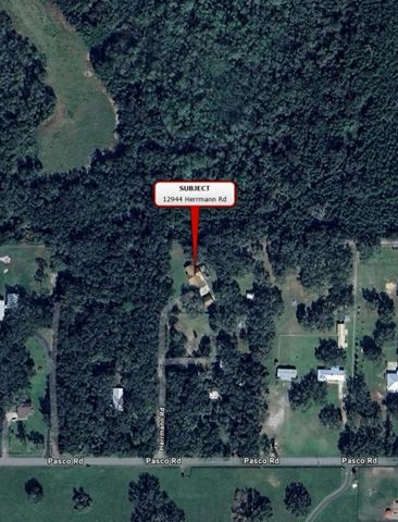 12944 HERRMANN ROAD, San Antonio, FL 33576