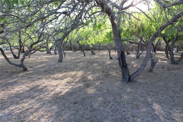 531 S County Road 1140, Riviera, TX 78379