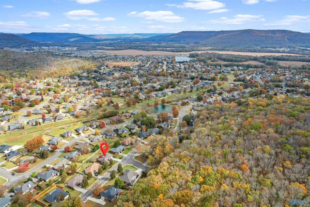 2320 Little Cove Road, Owens Cross Roads, AL 35763