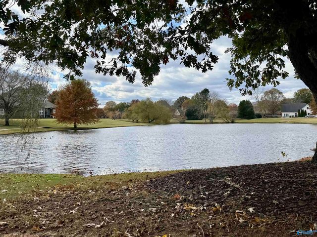 2320 Little Cove Road, Owens Cross Roads, AL 35763