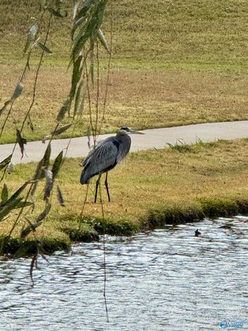 2320 Little Cove Road, Owens Cross Roads, AL 35763