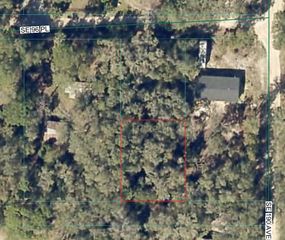 SE 96 PLACE, Ocklawaha, FL 32179