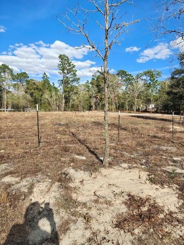 13105 SW 91ST PLACE, Dunnellon, FL 34432