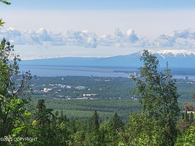 9921 Nearpoint Drive, Anchorage, AK 99507