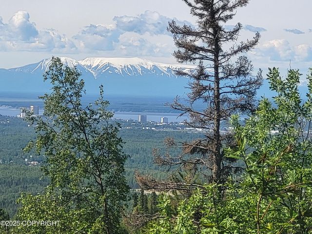 9921 Nearpoint Drive, Anchorage, AK 99507