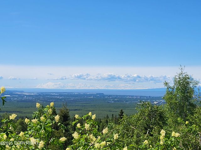 9921 Nearpoint Drive, Anchorage, AK 99507